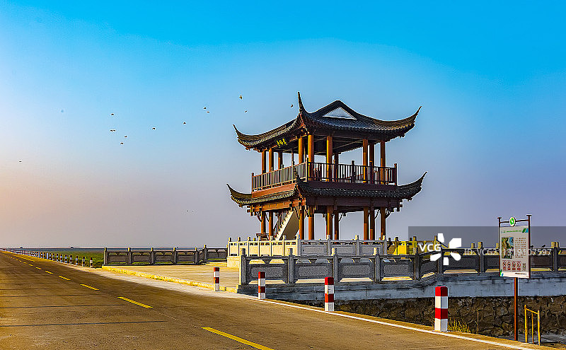观鸟亭图片素材