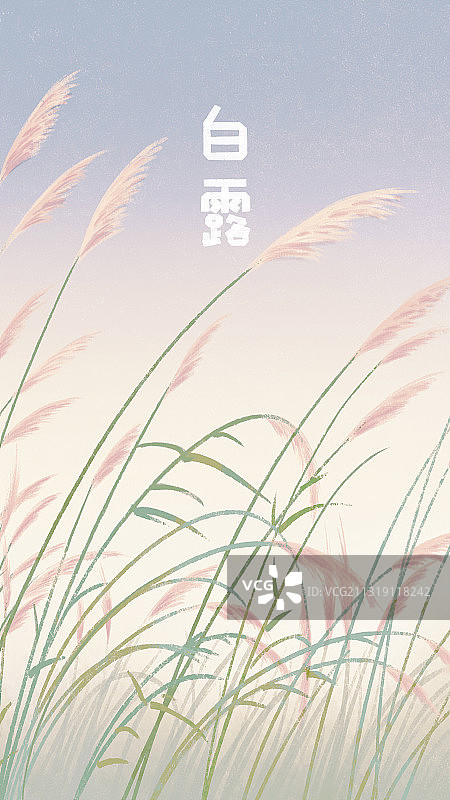 文艺风二十四节气风景白露 竖版质感肌理图片素材