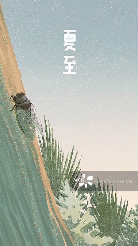 文艺风二十四节气风景夏至 竖版质感肌理图片素材