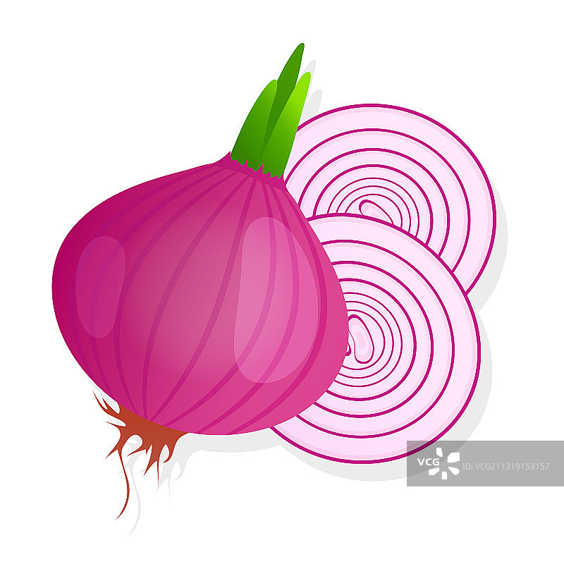 带绿色嫩芽的未剥皮红洋葱头图片素材