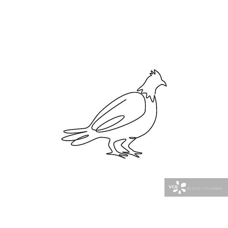 一笔画：可爱的松鸡图片素材