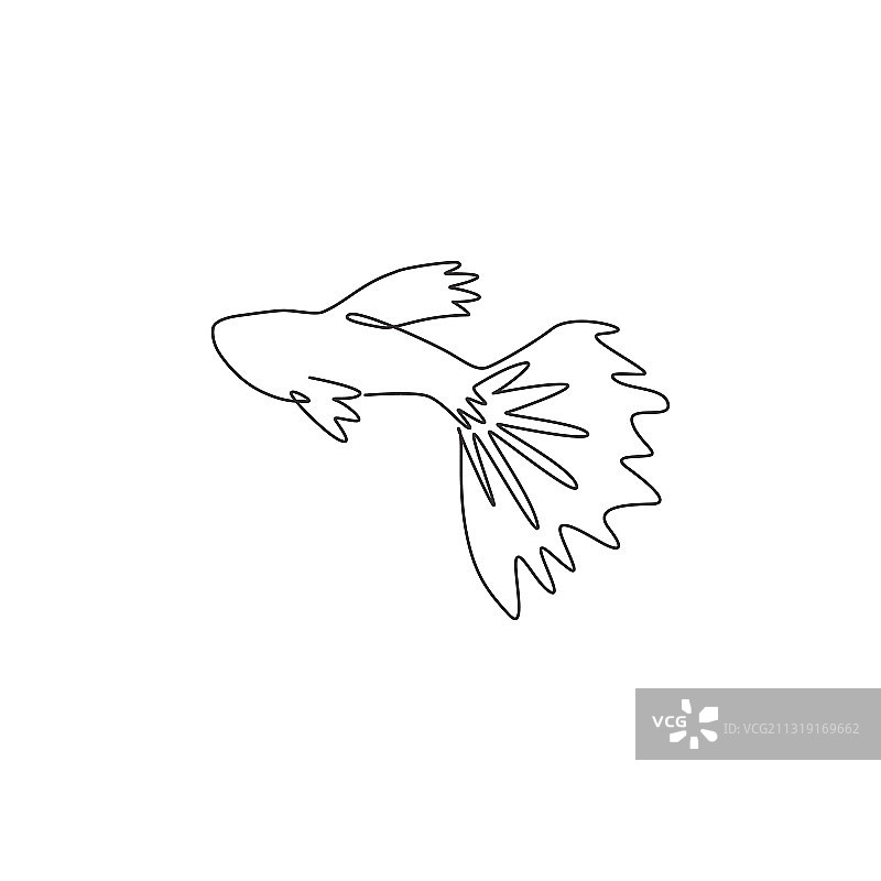 一条线条绘制的可爱孔雀鱼图片素材