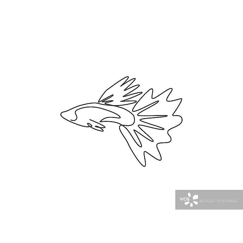 一条连续线画出的可爱孔雀鱼图片素材