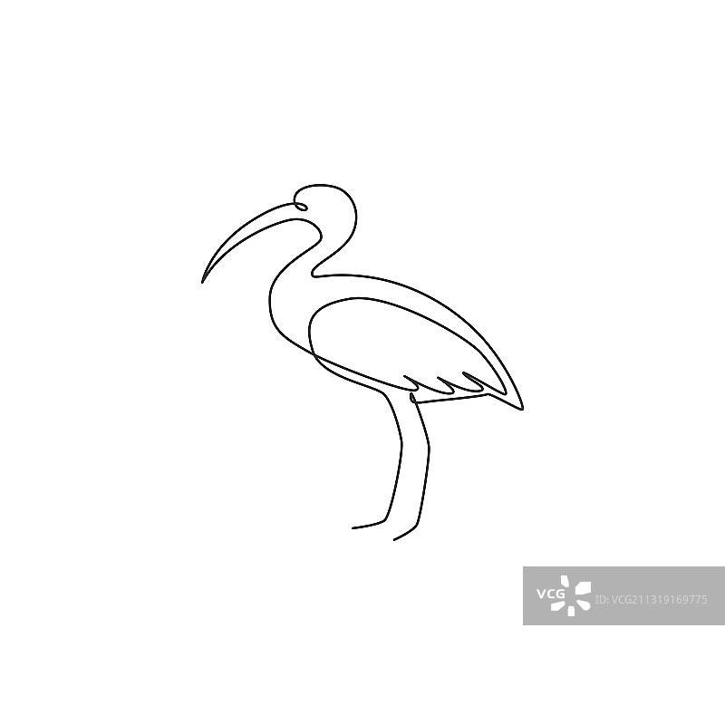 一笔画：可爱朱鹭图片素材
