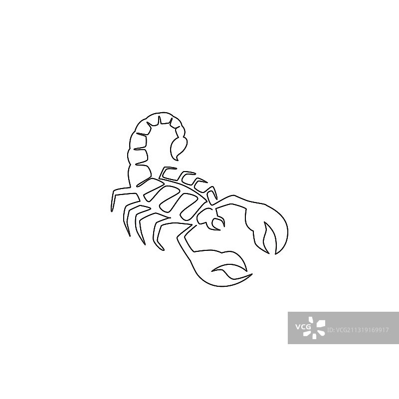 危险的蝎子连续线条画图片素材