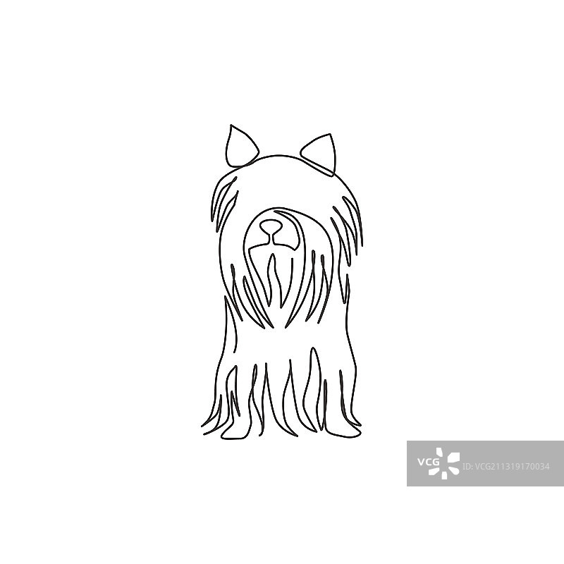 可爱的约克夏犬的连续线条画图片素材