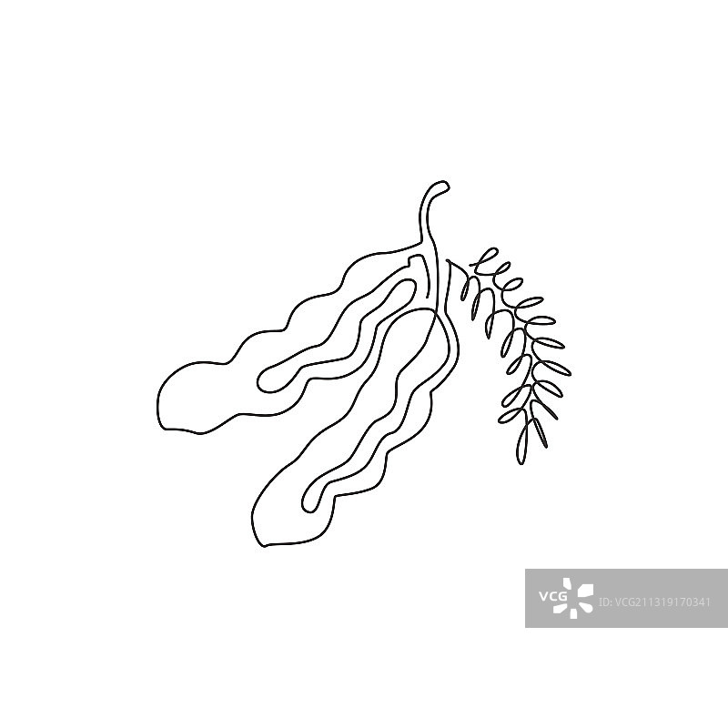 健康整体单线连续绘画图片素材