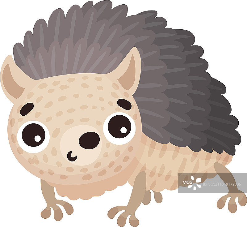 森林动物刺猬图片素材