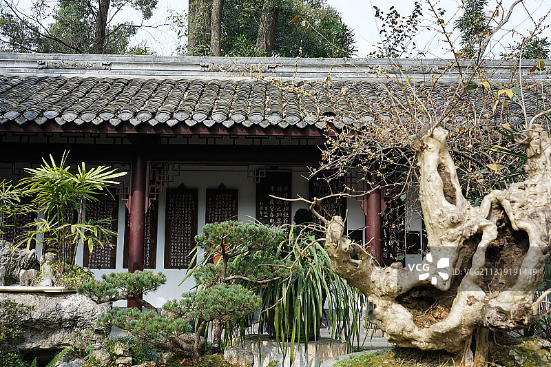 春日游成都杜甫草堂图片素材