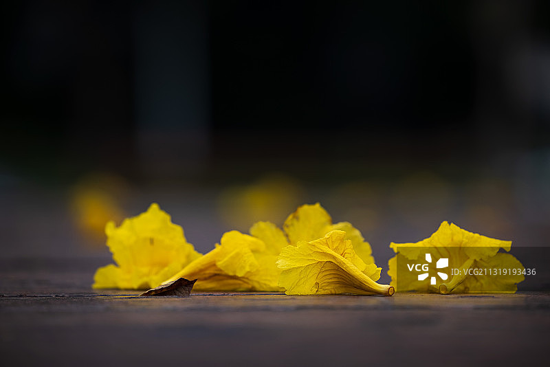 城市花园图片素材