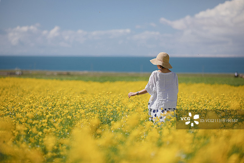 青海湖图片素材