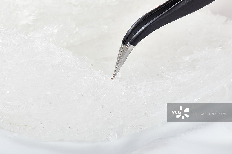 燕窝燕盏图片素材