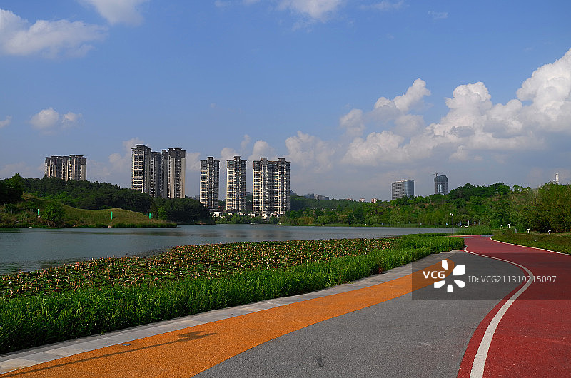 L2140524贵阳阅山湖湿地公园2018.7S图片素材