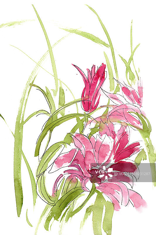 鲜艳的红花图片素材