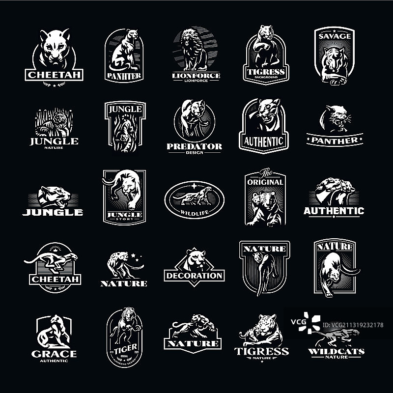 野生猫科动物图片素材