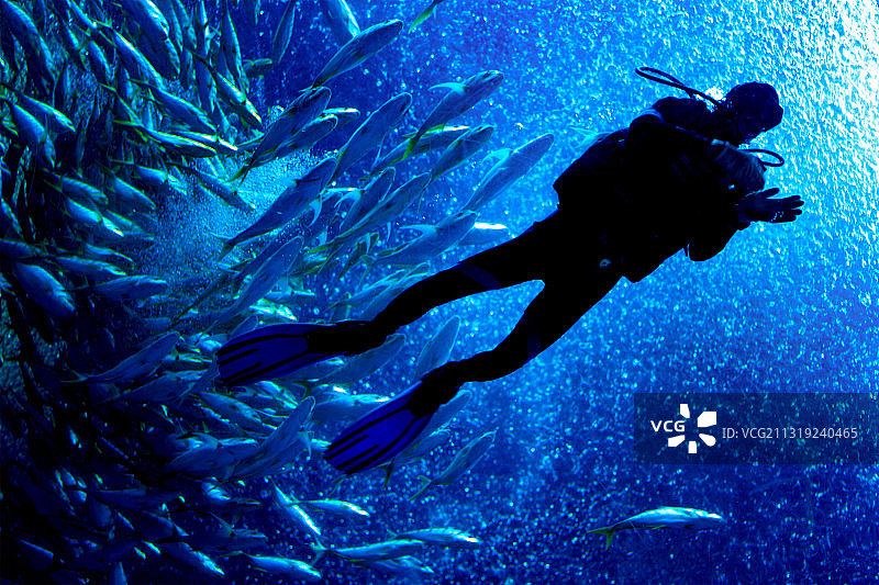 珠海长隆海洋王国图片素材