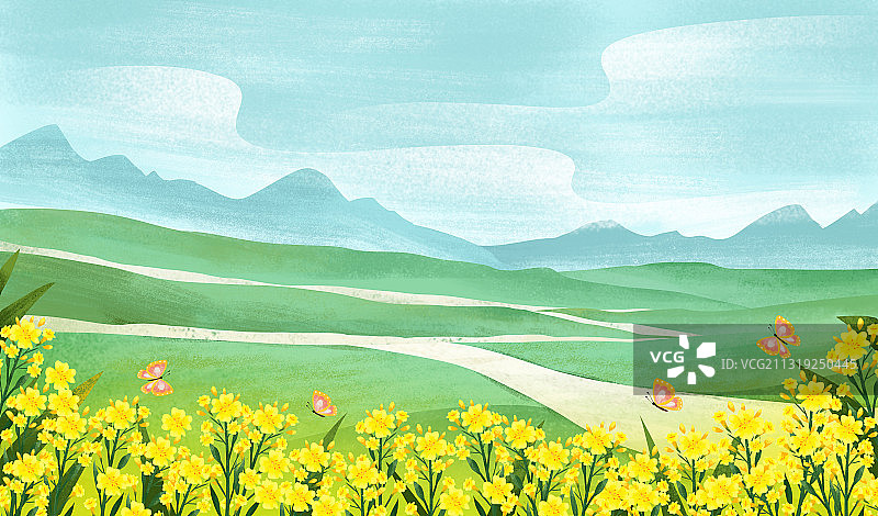 春天的乡村在油菜花盛开的户外图片素材