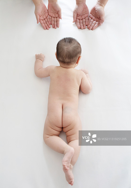 趴着的婴儿图片素材