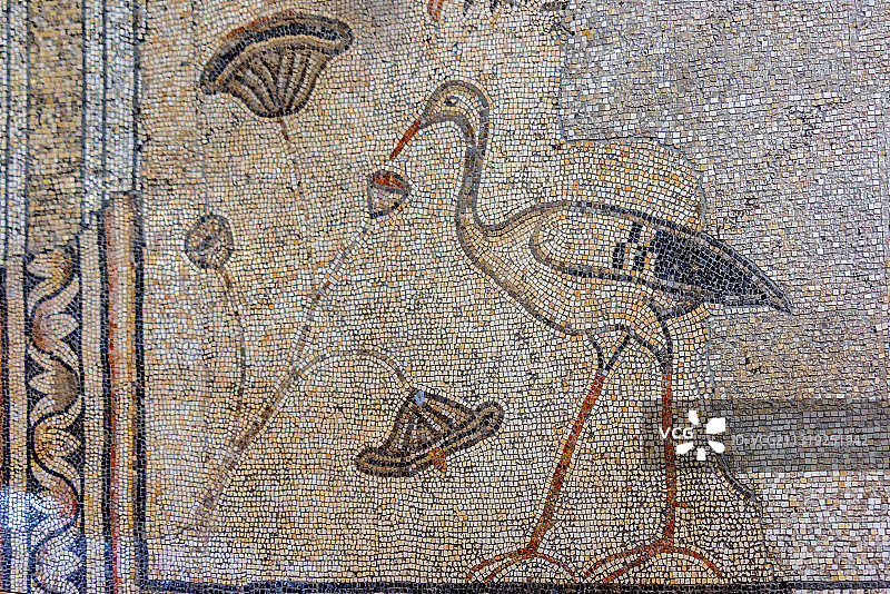 亚洲以色列加利利五饼二鱼堂的仙鹤马赛克图片素材