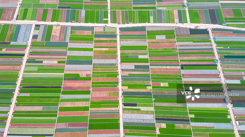 航拍春天的中国云南玉溪市通海县农田图片素材