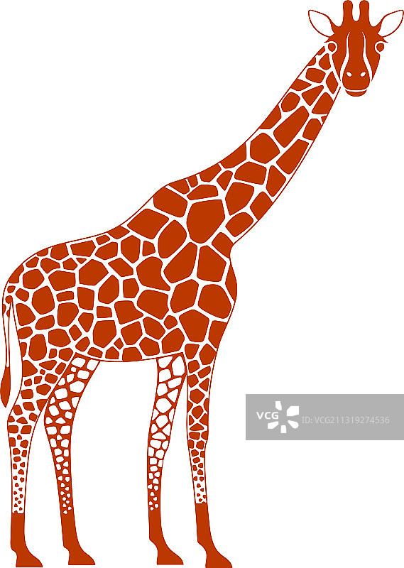 长颈鹿图片素材