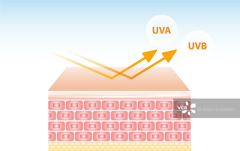 UV防护设计后的皮肤反射图片素材
