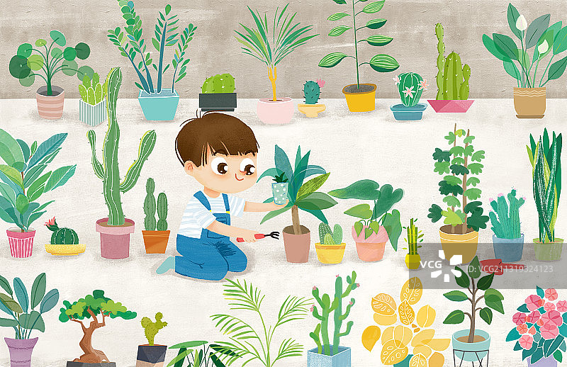 我的小森林图片素材