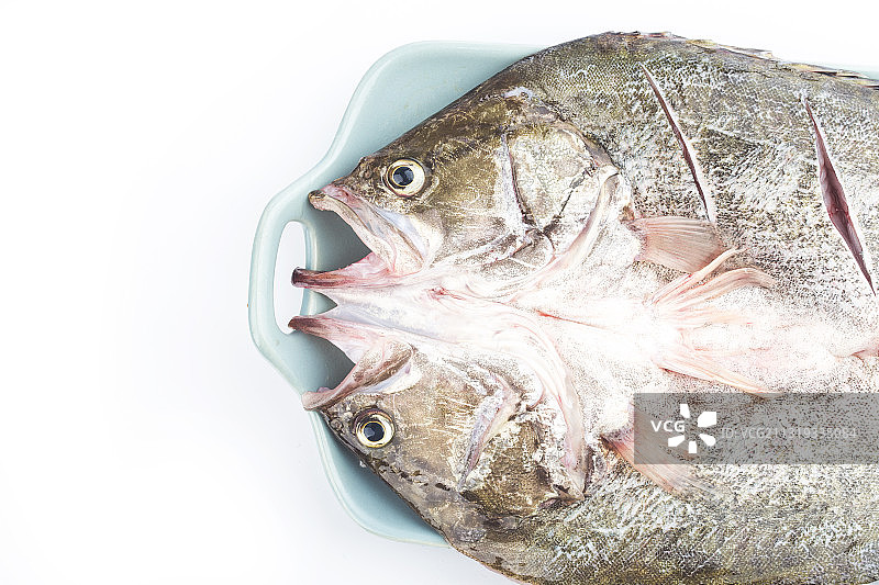 准备清蒸的桂花鱼图片素材