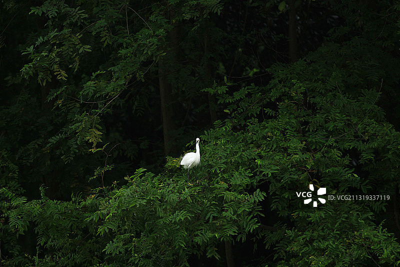 江安河生态漂流图片素材