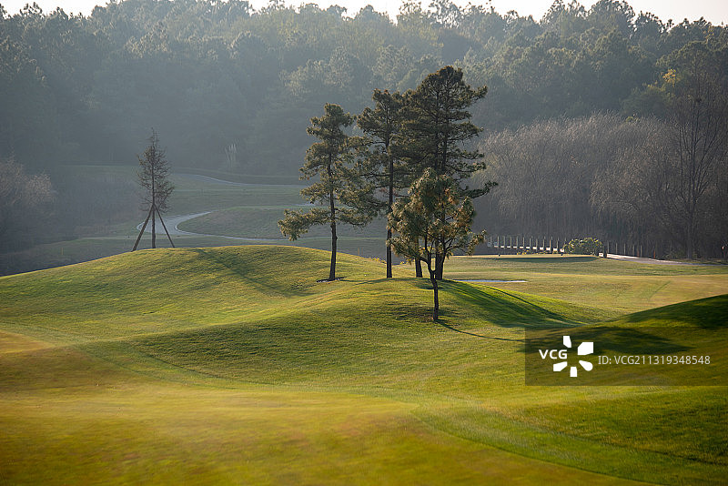 冬季的阳光高尔夫球场图片素材