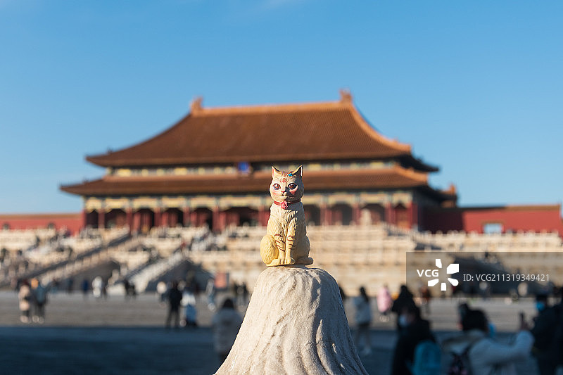 紫禁城的御猫图片素材