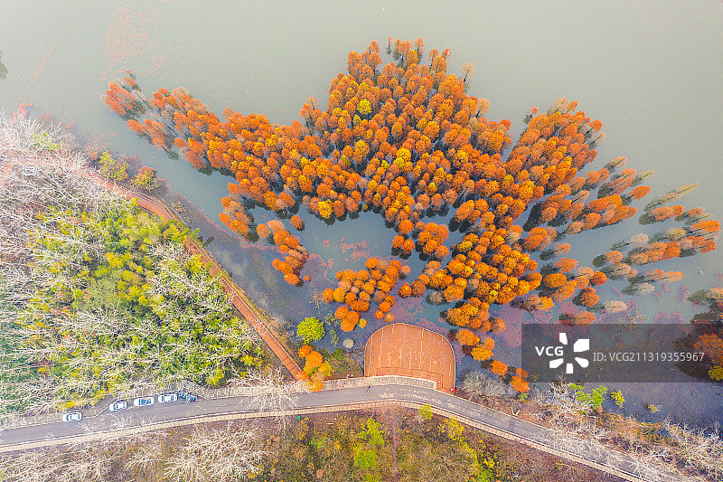 止马岭秋色图片素材