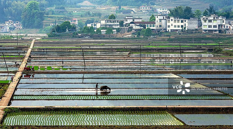 春天的音符图片素材