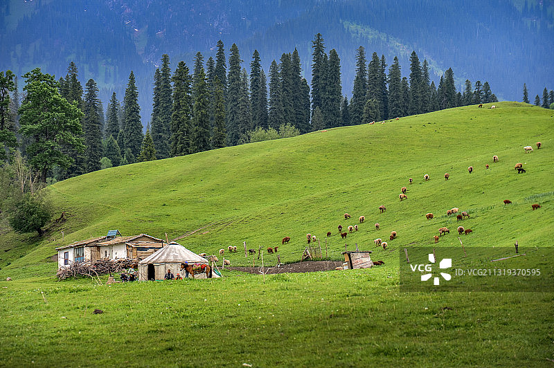 那拉提草原一角图片素材