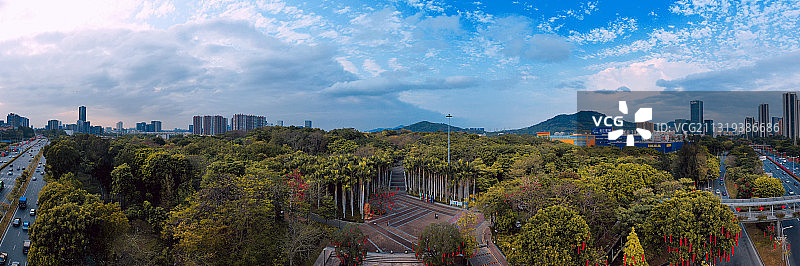 深圳的大沙河公园图片素材