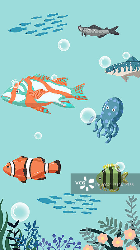 海底世界额鱼图片素材