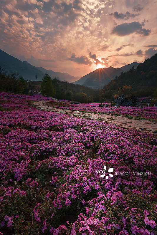 红池坝高山草场 重庆图片素材