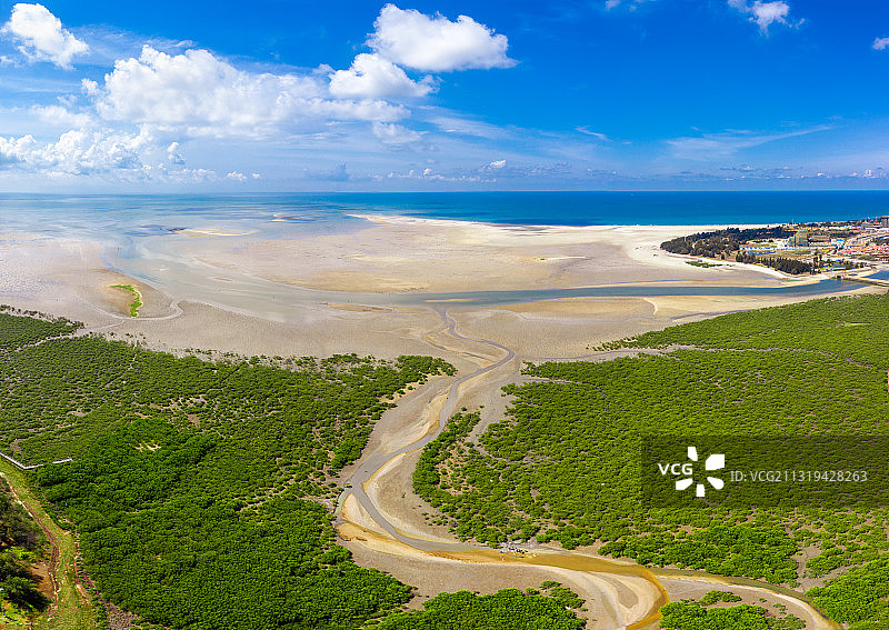 航拍北海海岸卫士红树林图片素材