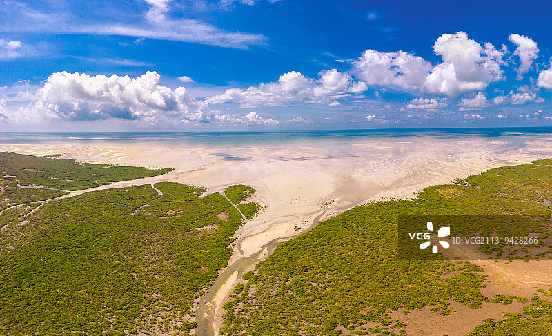 航拍北海海岸卫士红树林图片素材