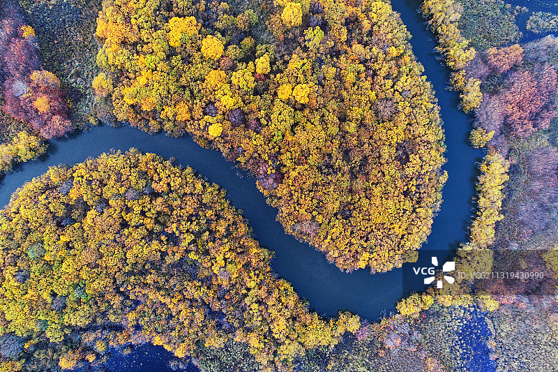 航拍呼伦贝尔扎敦河湿地秋季风光图片素材