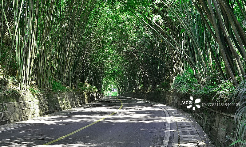 春天来临，蜀西竹海，林荫小道；成都邛崃平乐古镇图片素材