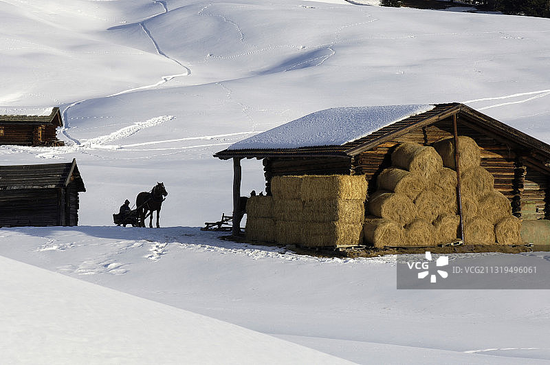 雪覆盖的阿尔卑斯小屋旁的雪橇，意大利南蒂罗尔图片素材