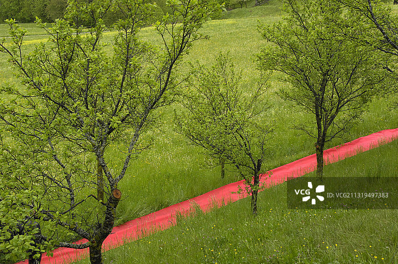 在草地上晾晒的地毯，意大利图片素材