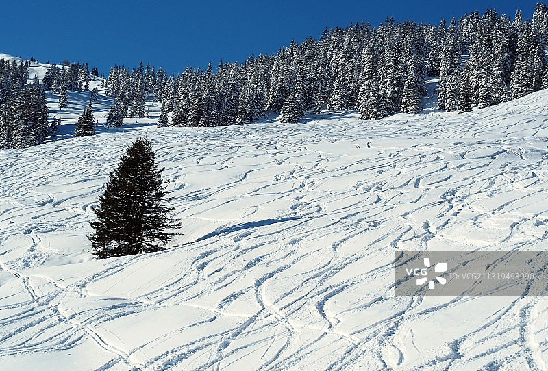 在基茨比厄尔附近滑雪：奥地利蒂罗尔州的冬季图片素材