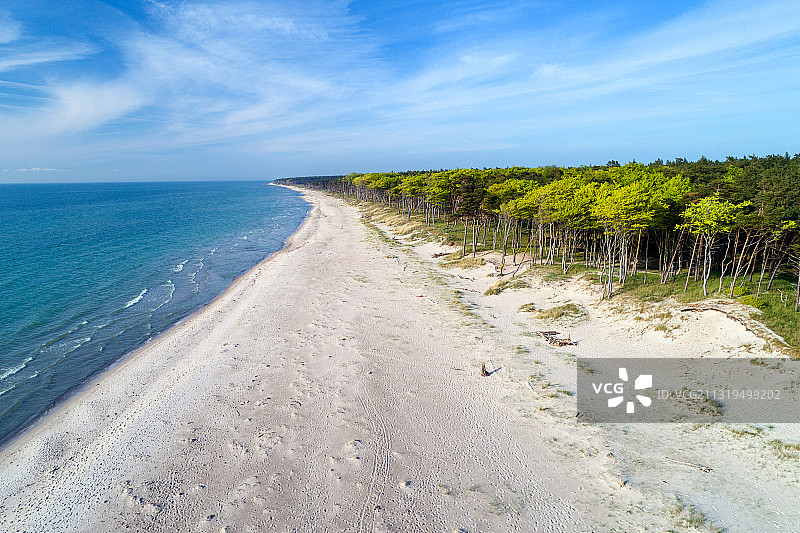 夏季达尔斯半岛海滩，德国梅克伦堡-西波美拉尼亚州，波罗的海图片素材
