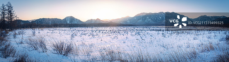 冬日阳光下的雪原-日本栃木县日光战场原图片素材