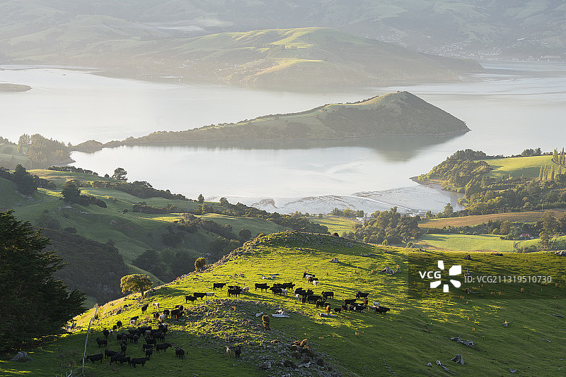 新西兰南岛坎特伯雷班克斯半岛，大洋洲图片素材