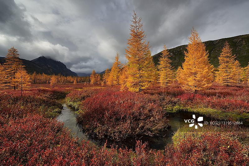 俄罗斯马加丹地区溪流旁的晴天图片素材