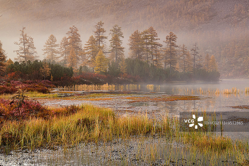 俄罗斯马加丹地区湖边雾蒙蒙的早晨图片素材