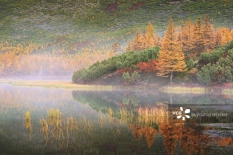 俄罗斯马加丹地区湖边雾蒙蒙的早晨图片素材